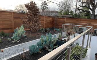 Private Master BR + Bath in Palo Alto House - June to Sep (flexible) 4