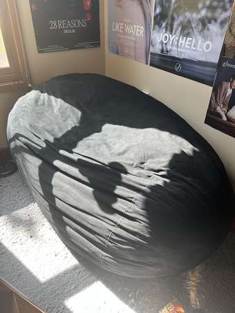 Well-Loved 6 foot Beanbag 1
