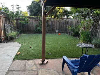 1 BR + Private Bath in Menlo Park: big yard, big kitchen, fruit trees 4