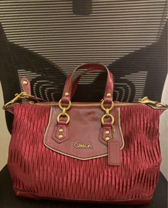 Coach Bag - chic and unique design with gorgeous color 2