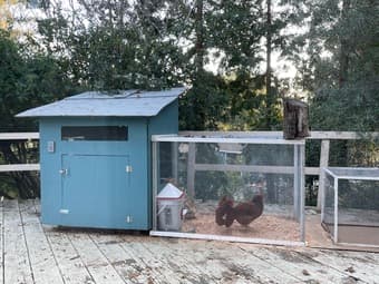 Chicken coop 1