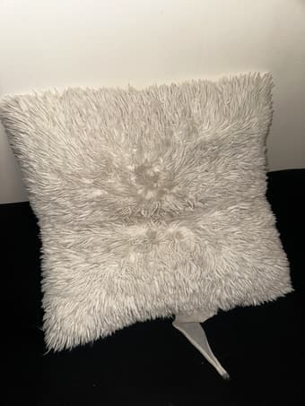 Small Fluffy Decorative pillow 1