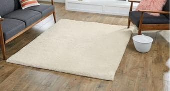 Used 5x7ft Shag Area Rug for sale!! Needs cleaning 1