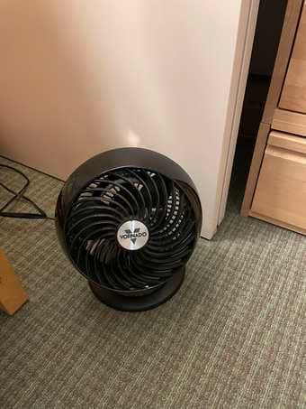 Vornado Fan for 25 small and mighty 1