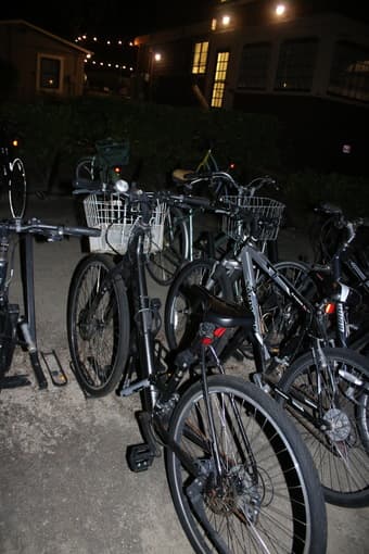 Trek Bike - 2022 Verve 1 Disc Low Step Black M 1