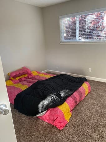 Looking for roommate, 2br/2ba apartment in Mountain View 07-08/2025 2