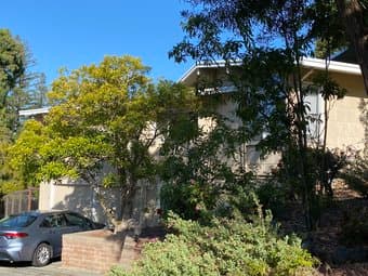 Looking for roommate for house, Palo Alto, available July 1 1