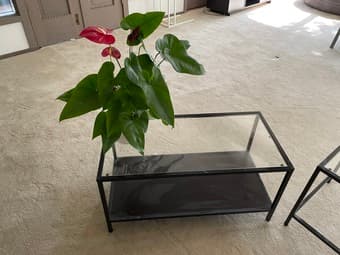 Glass coffee Table 1