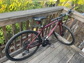 Giant Escape Bike + custom pinhead wheel lock to deter theft 1