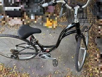 Brentwood Comfort Bike for girls w/ Basket ($500+ originally) 2