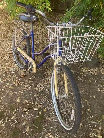 6 Speed Raleigh Retroglide Bike 2