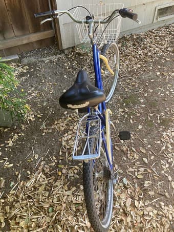 6 Speed Raleigh Retroglide Bike 3