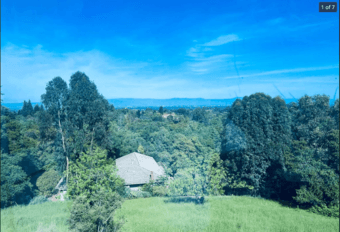 A Los Altos Hills home for rent by a Stanford alum 1