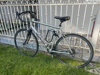 XL Specialized Road Bike 1