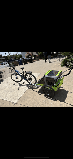 bike trailer for children 1
