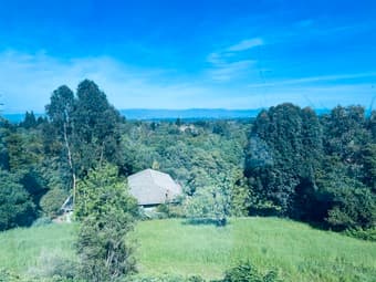 A Los Altos Hills home for rent by a Stanford alum 1