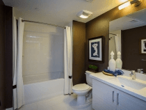 1BR/1BA in 2BR/2BA at Stanford Colonnade - $2300 4