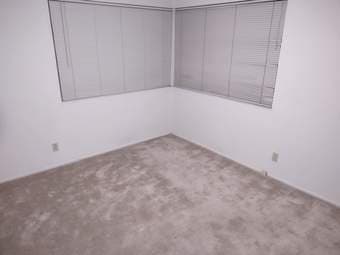 1 large private room in a 3b1b apartment unit 3