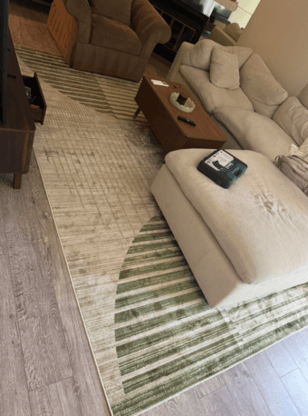 Rug: 9x12 green area rug! 2