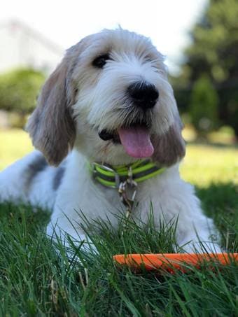 Driver needed for doc and vet appointments 1