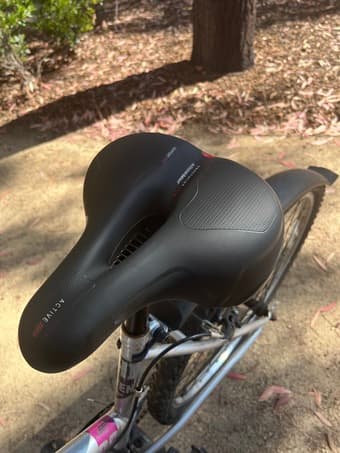 Mountain Bike - used 2