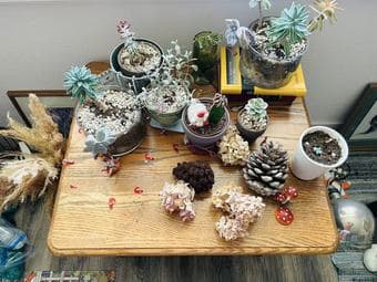 Vintage-Style Wooden Table for only $10! 2