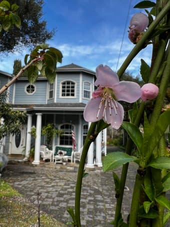 Amazing one-bedroom available in a 4br house-$1350 (Female preferred) 1