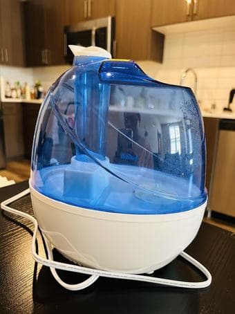 Cool Mist Humidifier – 2.5L Tank, Ultra-Quiet, Only $8 2