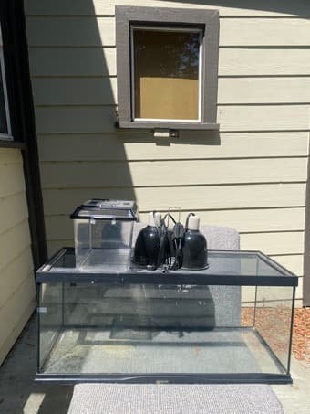Reptile tank, lamp, and carrier 1