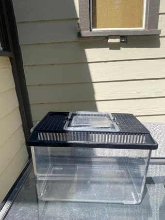 Reptile tank, lamp, and carrier 3