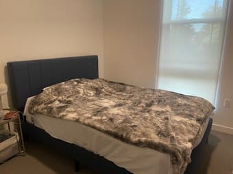 Bed frame + mattress $100; free sofa 1