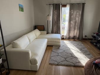 Moving Sale - Dining Table + Chairs / Bean Bag / Microwave / Rug 4