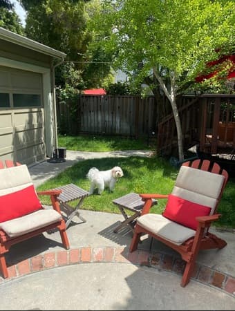 Room available in beautiful downtown palo alto house next to campus. - 2