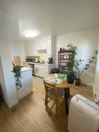 Beautiful 1 bed/1ba Apartment available for rent (starting 9/20) 1