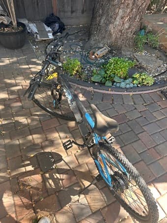 Bike for Sale! $120 OBO (including ULock) 2