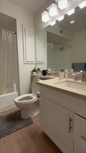 1b/1b available in a 2b/2b lofted apartment (Redwood City) 3