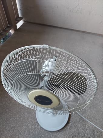 Holmes Floor Fan 16" Oscillating Adjustable Stand White Like New! 2