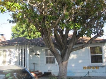 A bigger furnished room with own bath is available for renting from Oc 1