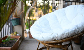 Indoor plants, outdoor plants and garden furniture 2