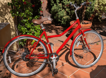 Street Bike: New Priority Turi Bike 1