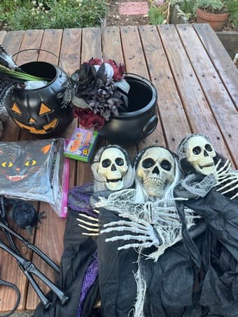 Sale! Plants, Halloween deco, board games and free stuff! 2