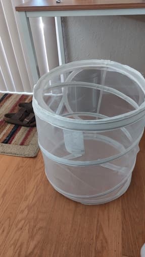 Laundry basket, like-new condition, Pickup at EVGR 2