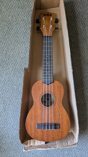 Ukulele 1