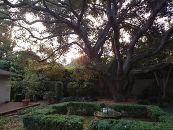 Large room for rent in spacious 5 bedroom in Atherton on acre lot 4