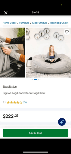 Bean Bag (Big Joe)!! 1