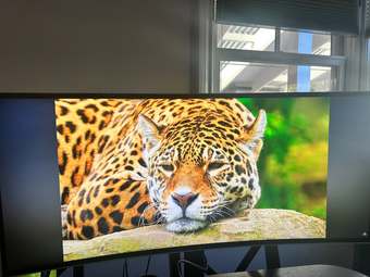 LG 34 inch ultrawide QHD IPS Monitor with USB Quick Charge 2