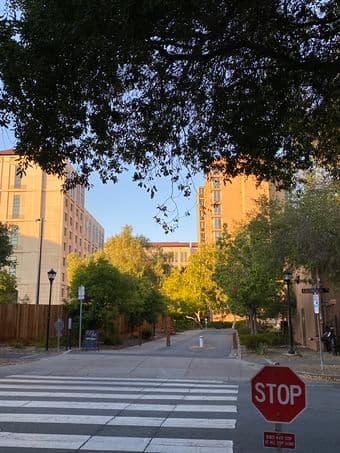 Blackwelder highrise sublet, 9th Dec 2025 - 31 Dec 2025 1