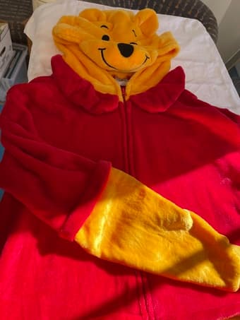 Winnie the Pooh costume 1