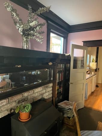 FREE holiday sublet! Cat sitter needed 3