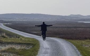 Room wanted near Stanford Uni for super fun;) Dutch visiting student 2